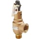 Kunkle 6010DCM01 Safety Valve